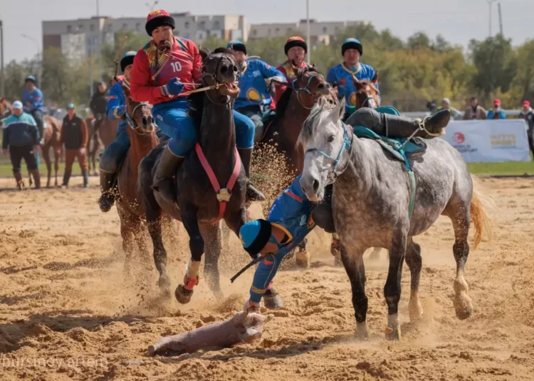 Көкпар мен көк бөрүні Көшпенділер ойынынан алып тастау ұсынылды