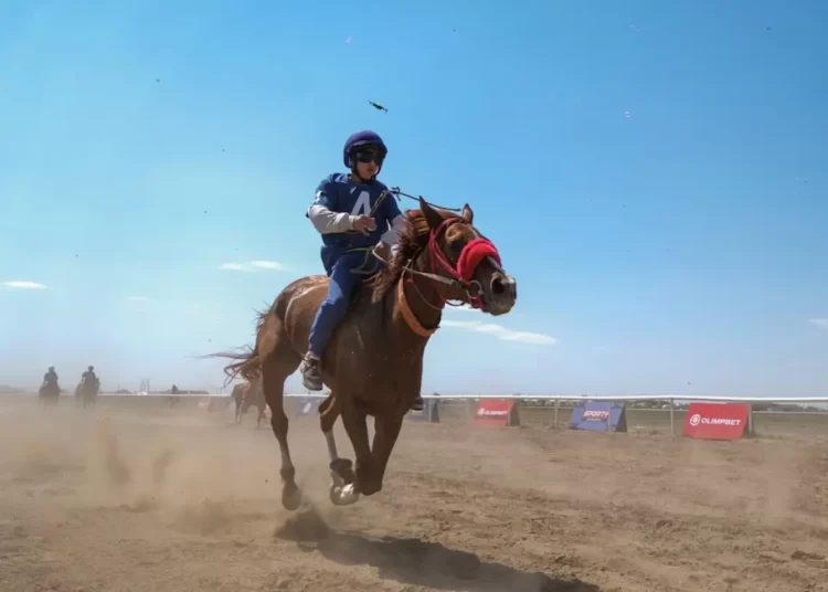 Қазақстандық дзюдошыларда тактикалық қателіктер көп — Роберт Мшвидобадзе