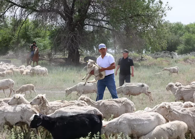 Қақпашы Стас Покатилов Әзербайжаннан кетіп, ҚПЛ-ға оралмақ