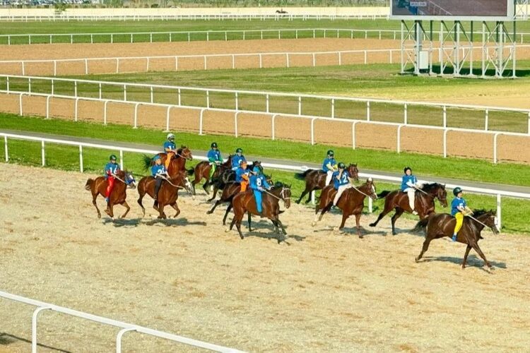 «Оқжетпес» «Елімайды» жеңді, «Қайсар» «Астанадан» ұпай олжалады