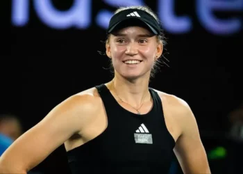 WBO Дмитрий Биволға қатысты шешім шығарды