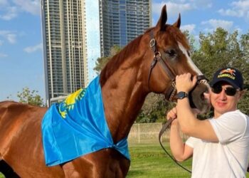 Қазақтың сәйгүлігі Кабирхан жаңа жарыстарға дайындалып жатыр