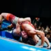 Астанада күрес түрлерінен әлем чемпионаты өтеді